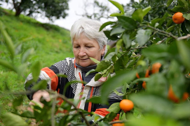 Фото экскурсии - Джип-тур по Абхазии с вином, песнями и свежим ветром - 12