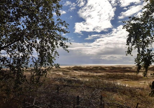 Национальный Парк Куршская коса и пешеходная прогулка по ЗЕЛЕНОГРАДСКУ - фото 2