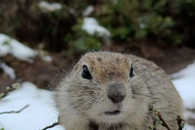 Фото экскурсии - Индивидуальная экскурсия в Джилы-Су с посещением Долины нарзанов и водопадов - 4