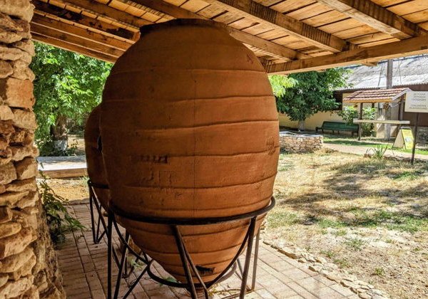 Индивидуальная экскурсия в Танаис из Ростова-на-Дону  - фото 1