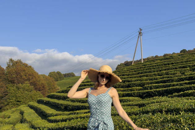 Фото экскурсии - Первое знакомство с Сочи - 7