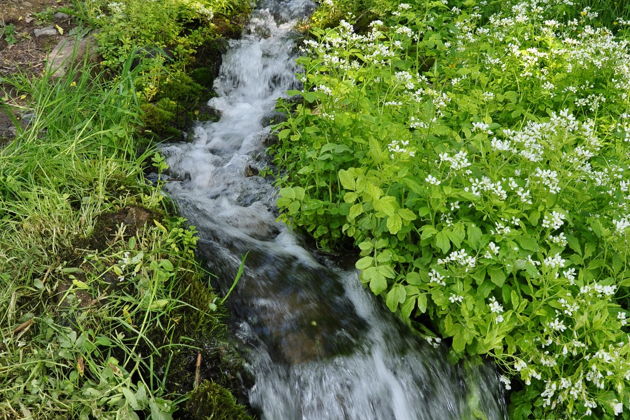 Фото экскурсии - Прогулки по окрестностям Боровска - 7
