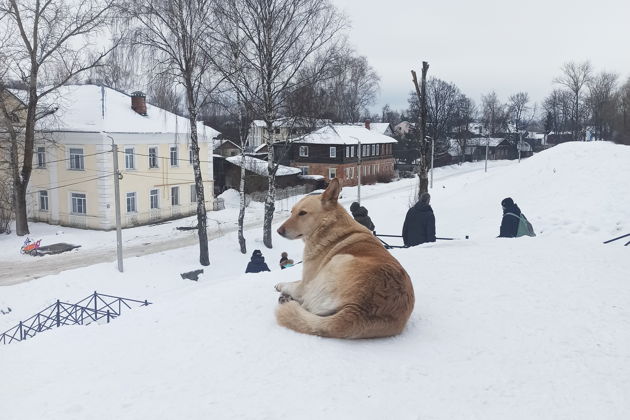 Славный город Переславль-Залесский-4