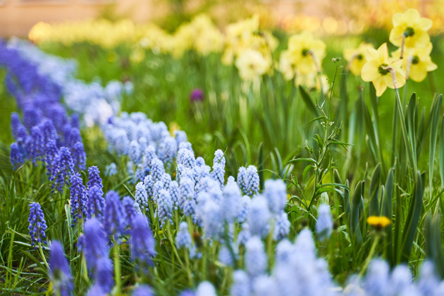 Фото - экскурсия: Прогулка по оранжереям Ботанического сада: многообразие субтропиков