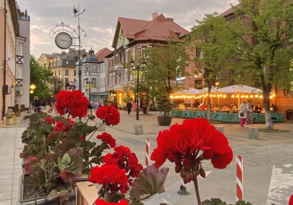 Тропы, пляжи и поселки Куршской косы и Зеленоградск в минигруппе - фото 4