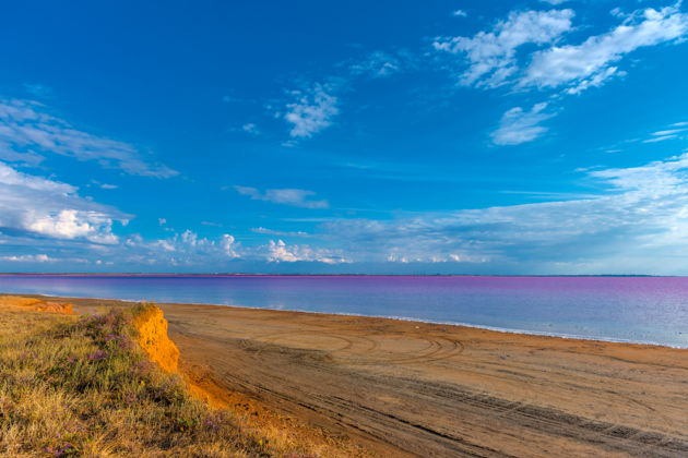 Фото экскурсии - Незабываемый отдых на розовом озере Сасык-Сиваш - 5