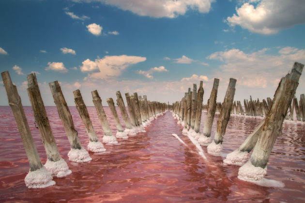 Фото экскурсии - Незабываемый отдых на розовом озере Сасык-Сиваш - 6