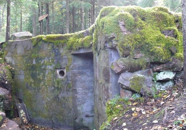 Экскурсия по местам трёх советско-финских войн «Каменные тропы» - фото 1