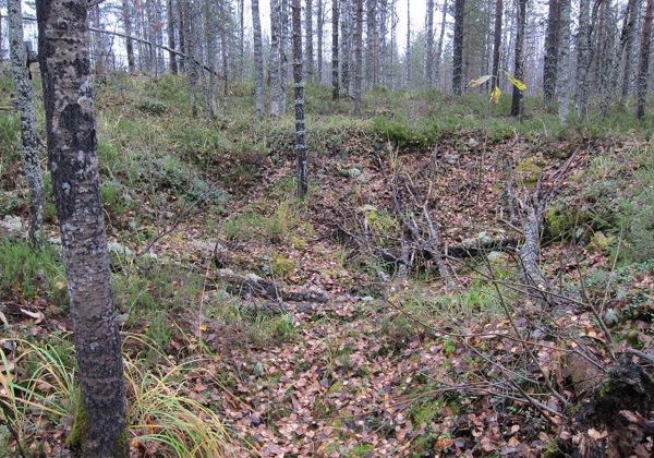 Экскурсия по местам трёх советско-финских войн «Каменные тропы» - фото 3
