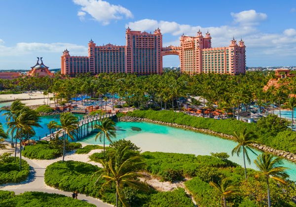 Захватывающие виды: The View at The Palm  - фото 2