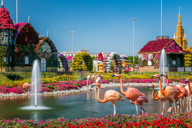 Фото - экскурсия: Экскурсия в парк цветов Miracle Garden и ярмарку Global Village из Фуджейры