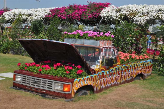 Фото экскурсии - Экскурсия в парк цветов Miracle Garden и ярмарку Global Village из Фуджейры - 8