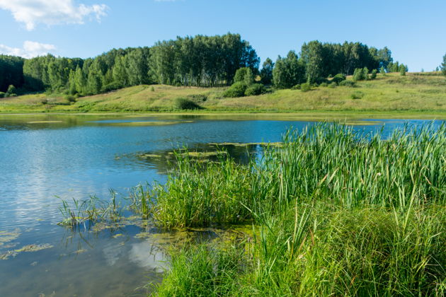 Экскурсия в Керженский заповедник-1