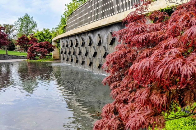 Фото экскурсии - Однодневная экскурсия в Краснодар и парк Галицкого из Ростова-на-Дону - 3