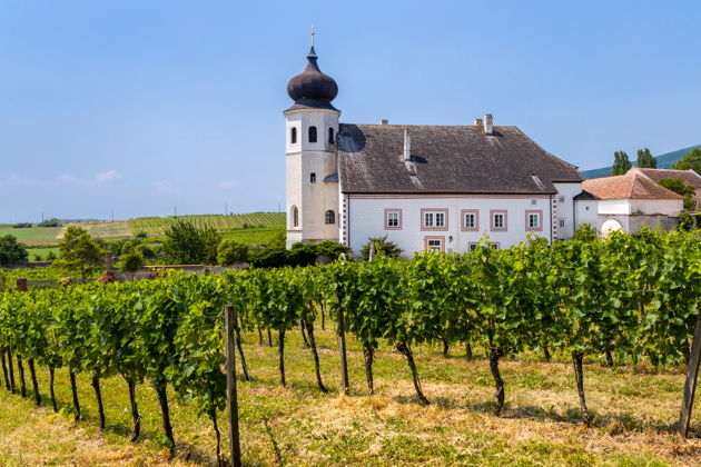 Фото экскурсии - Сказки Венского леса: курорт Баден, замок Лихтенштейн и винные долины - 5