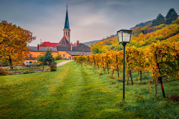 Фото экскурсии - Сказки Венского леса: курорт Баден, замок Лихтенштейн и винные долины - 6