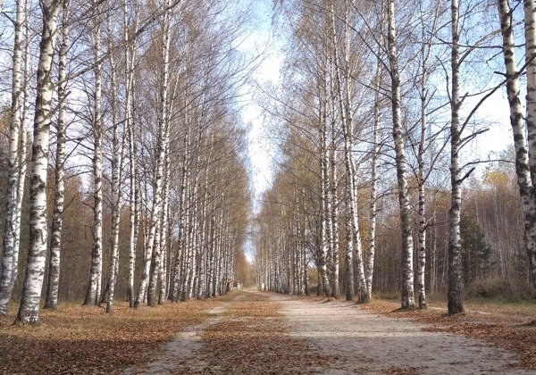 Светлояр — русская «Атлантида» - фото 2