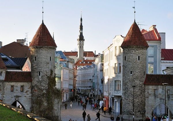 Следопыты в поисках следов под ногами - фото 2