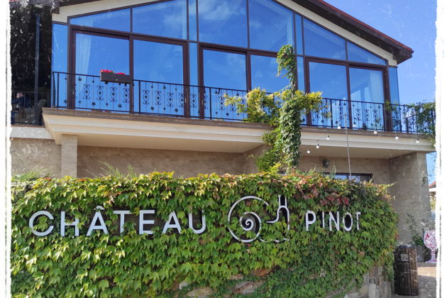 Фото экскурсии - Шато Пино: улитки, морепродукты и винные дегустации - 7