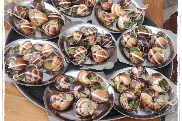 Фото экскурсии - Шато Пино: улитки, морепродукты и винные дегустации - 9
