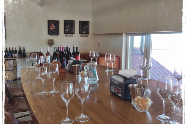 Фото экскурсии - Шато Пино: улитки, морепродукты и винные дегустации - 10