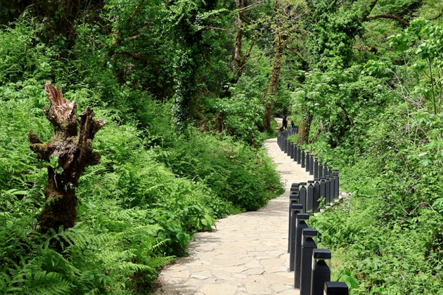 Фото экскурсии - Волшебная горная Аджария - 15