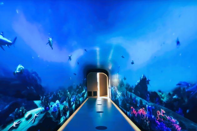 Фото экскурсии - Билеты на смотровую площадку The View на Пальме - 9