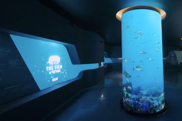 Фото экскурсии - Билеты на смотровую площадку The View на Пальме - 11