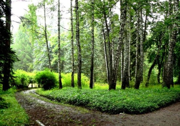 Открывая Армению: Дендропарк Сосняки — Монастырь Ахпат — Монастырь Санаин - фото 1