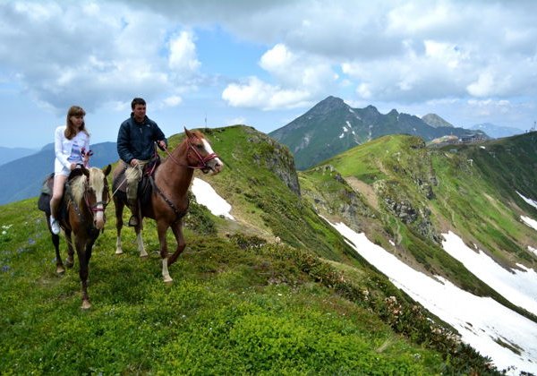Конные прогулки в Сочи - фото 1