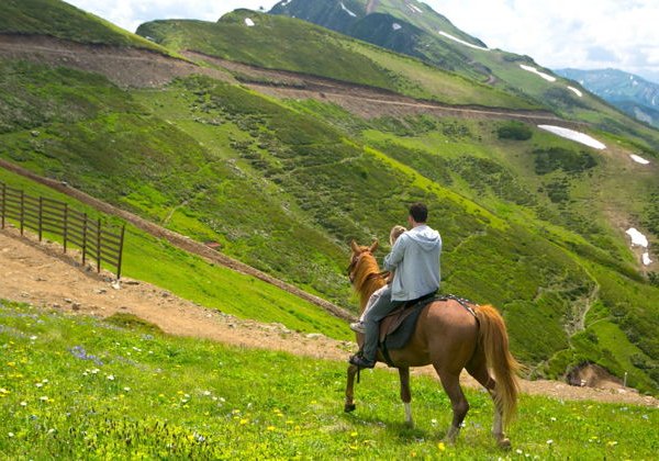 Конные прогулки в Сочи - фото 3