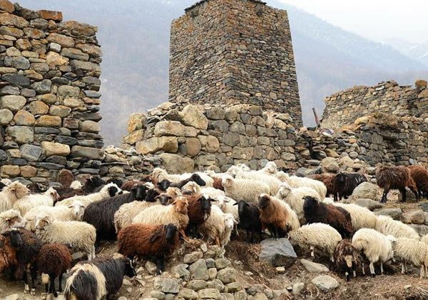 В Куртатинское ущелье: колыбель осетинской культуры - фото 2