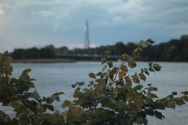 Фото экскурсии - Неспешная экскурсия по Колтовской слободе - 7