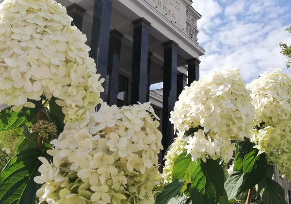 Секреты главной библиотеки страны (Ленинка + Старое Ваганьково)