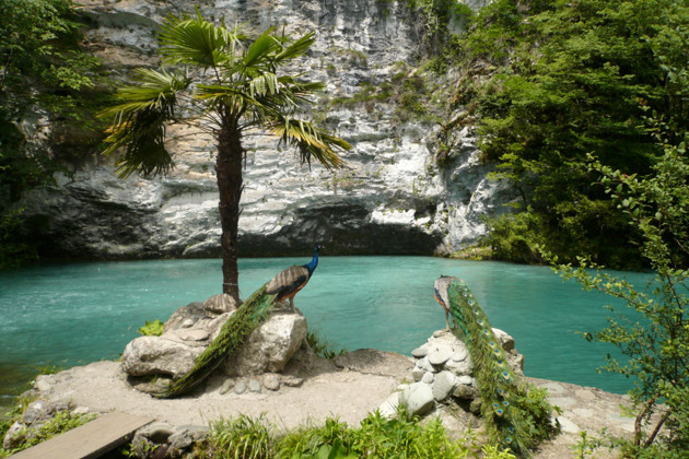 Фото - экскурсия: Золотое кольцо Абхазии и мандариновый сад