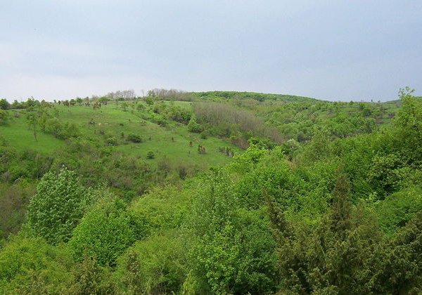 Новый Сад и Фрушка гора - фото 2