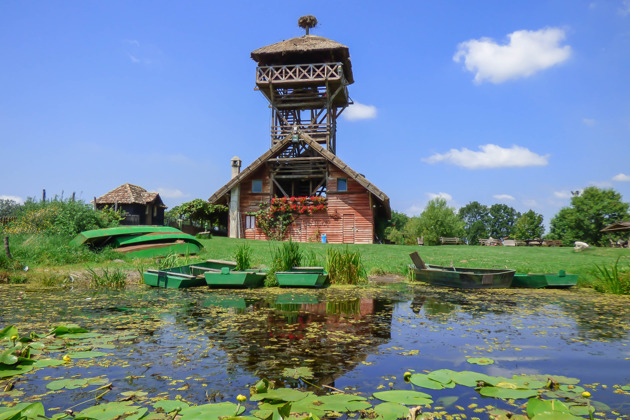 Фото - экскурсия: Исследуем Сирмиум и заповедник Засавица