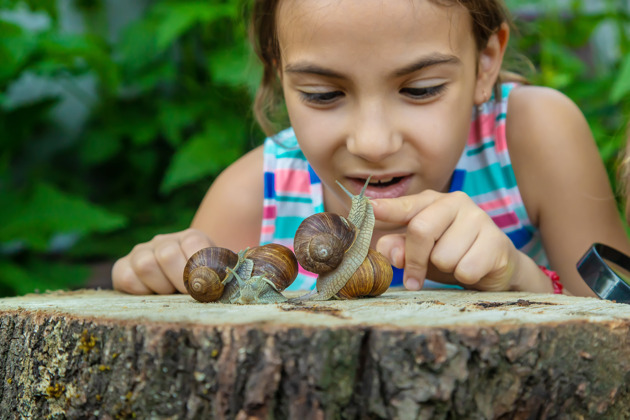 Фото - экскурсия: Эко-ферма «Большая улитка».Первая улиточная ферма в Алере .Все включено.
