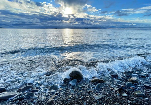 Индивидуальное гастрономическое путешествие к морским котикам и островам Японского моря на катере - фото 4
