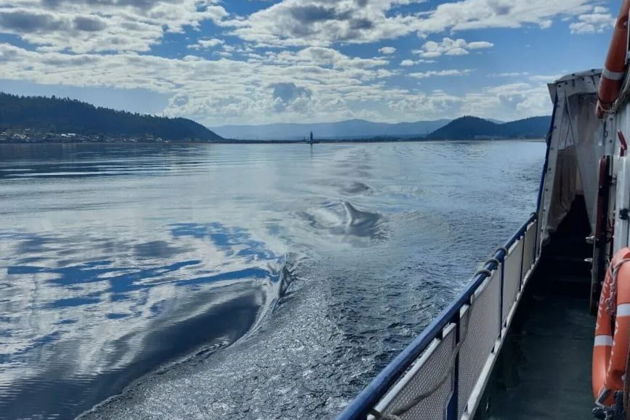 Фото экскурсии - Прогулка по Чивыркуйскому заливу на катере или теплоходе - 10