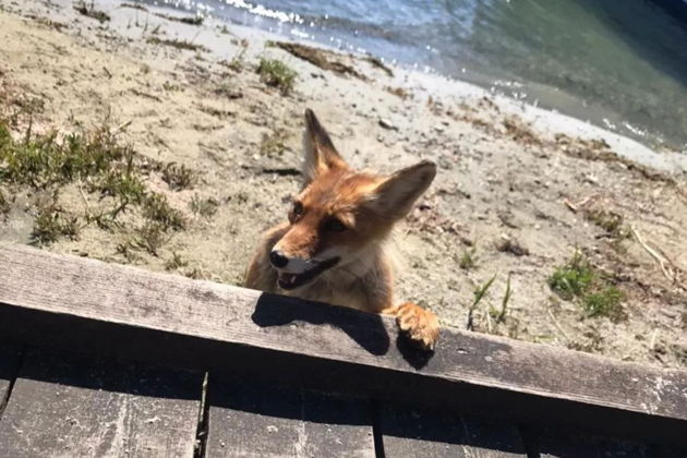 Фото экскурсии - Прогулка по Чивыркуйскому заливу на катере или теплоходе - 12