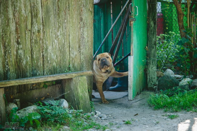 Фото экскурсии - Тайны Себежа и прогулка по усадьбе Ореховно - 2