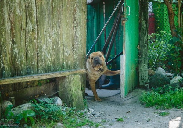 Легенды Себежа и усадьба Ореховно - фото 2
