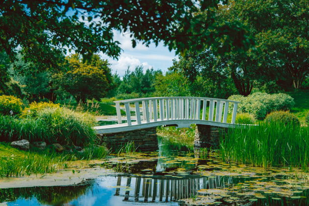 Фото экскурсии - Тайны Себежа и прогулка по усадьбе Ореховно - 5