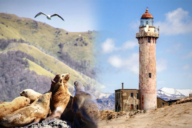 Сахалин весной: сивучи, маяк Слепиковского и водопад Салют (до 4 гостей)