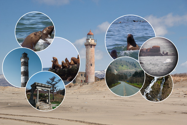 Фото - экскурсия: Весенний Сахалин: наблюдение за сивучами, маяк Слепиковского и водопад Салют в мини-группе