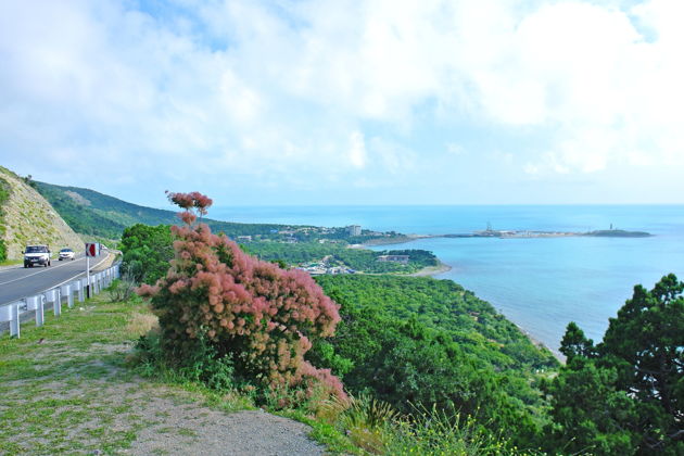 Фото экскурсии - Отправляемся в заповедный Утриш поплавать с катера или катамарана - 11