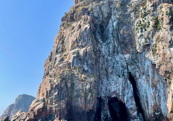 Гастрономическое путешествие к островам Японского моря и морским котикам - фото 2