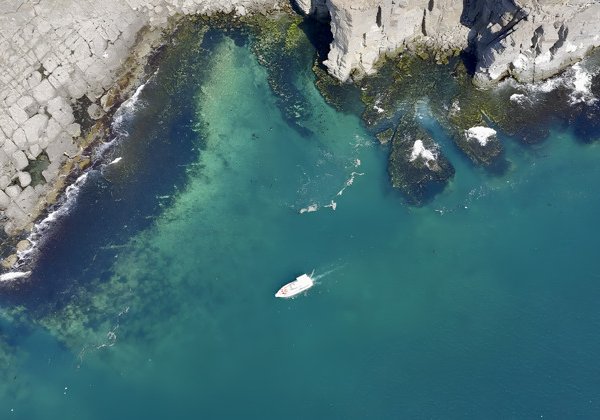 Морское путешествие к островам Японского моря и котикам