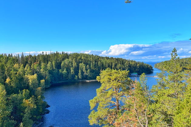 Фото экскурсии - Валаамская жемчужина из Северной столицы - 12